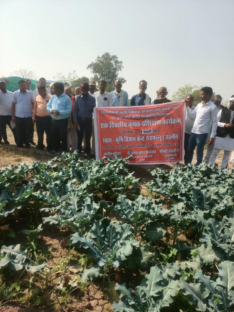 जालौन-कृषि विज्ञान केन्द्र रूरामल्लू में एक दिवसीय कृषक प्रशिक्षण कार्यक्रम का आयोजन किया गया