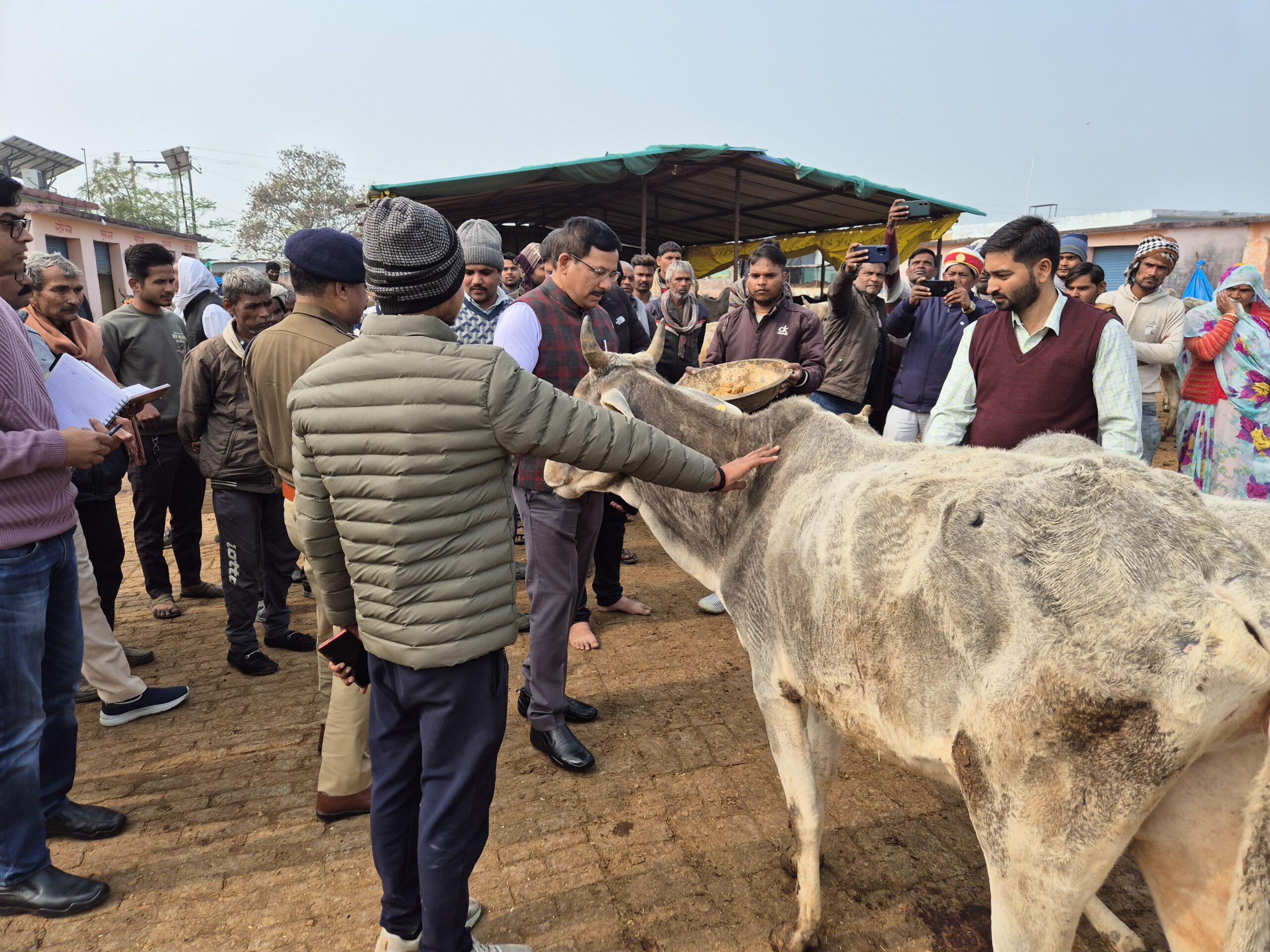Dm–SP ने बबीना व कदौरा गौशालाओं का किया निरीक्षण, व्यवस्थाओं में लापरवाही पर हुये सख्त