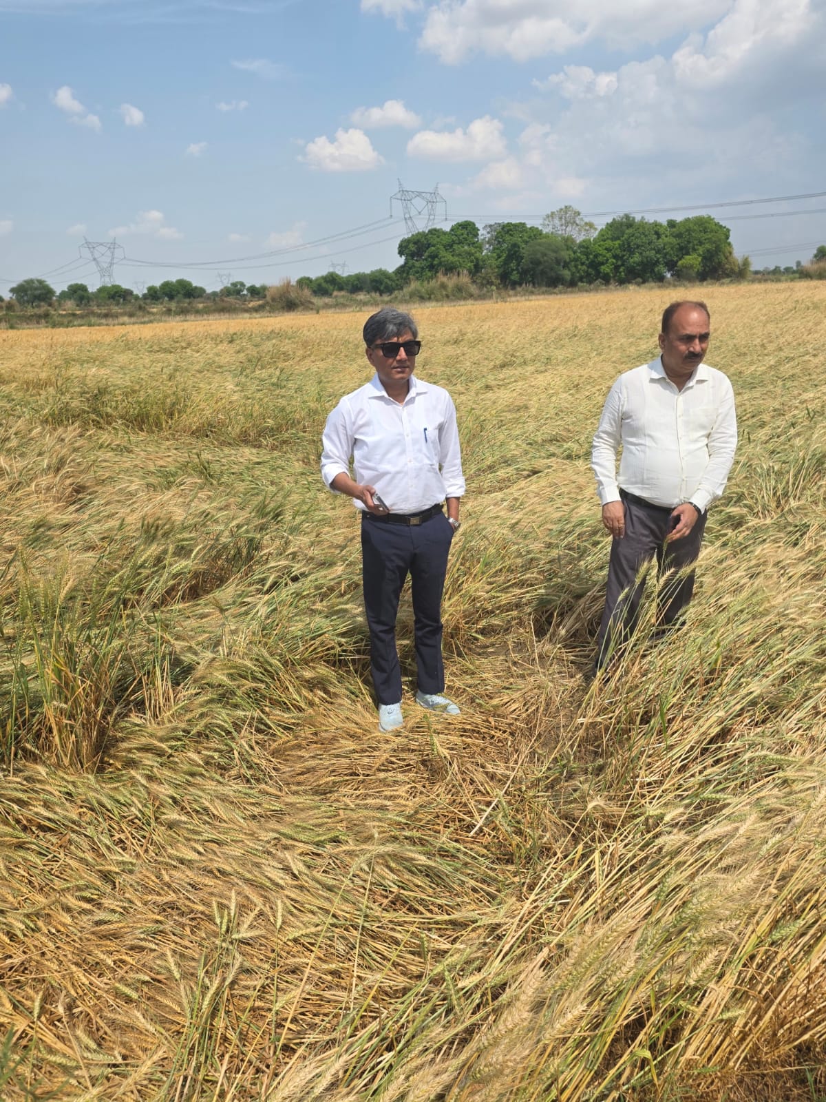 Jalaun : ओलावृष्टि के बाद प्रशासन ने कसी कमर , CDO की निगरानी मे फसल क्षति का जमीनी सर्वे हुआ तेज