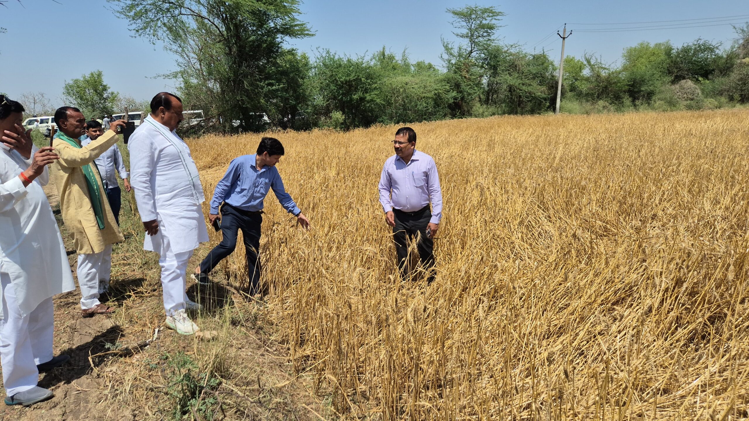 Jalaun : ओलावृष्टि से प्रभावित किसानों के लिए राहत की बड़ी ख़बर, 72 घंटे में सूचना दर्ज कर मिलेगा मुआवजा