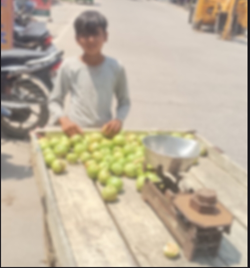 जालौन में तस्वीर वायरल: पढ़ाई की उम्र में अमरूद बेचने को मजबूर नाबालिग, सिस्टम पर सवाल