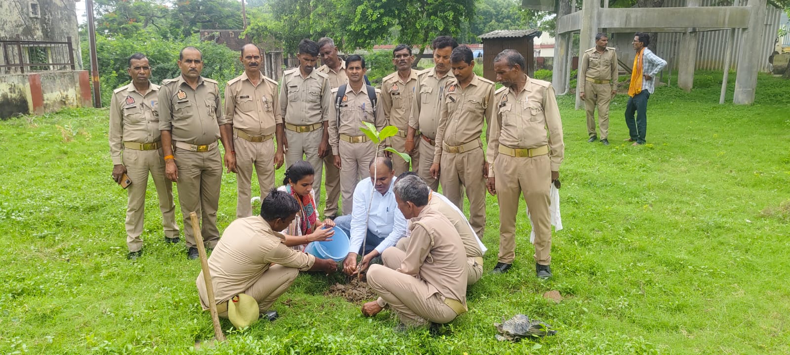 नवीन गल्ला मंडी में हुआ वृहद वृक्षारोपण।